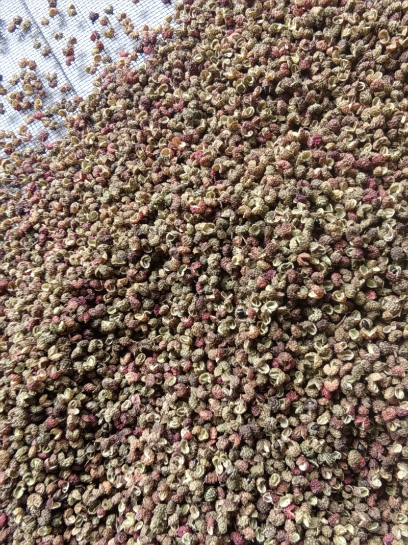 香味浓郁，麻度高的金阳花红椒上市了红花椒