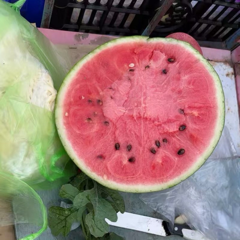 麒麟美都