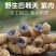 巴戟天中药材正品精选新货无硫抽芯巴戟肉散装批发