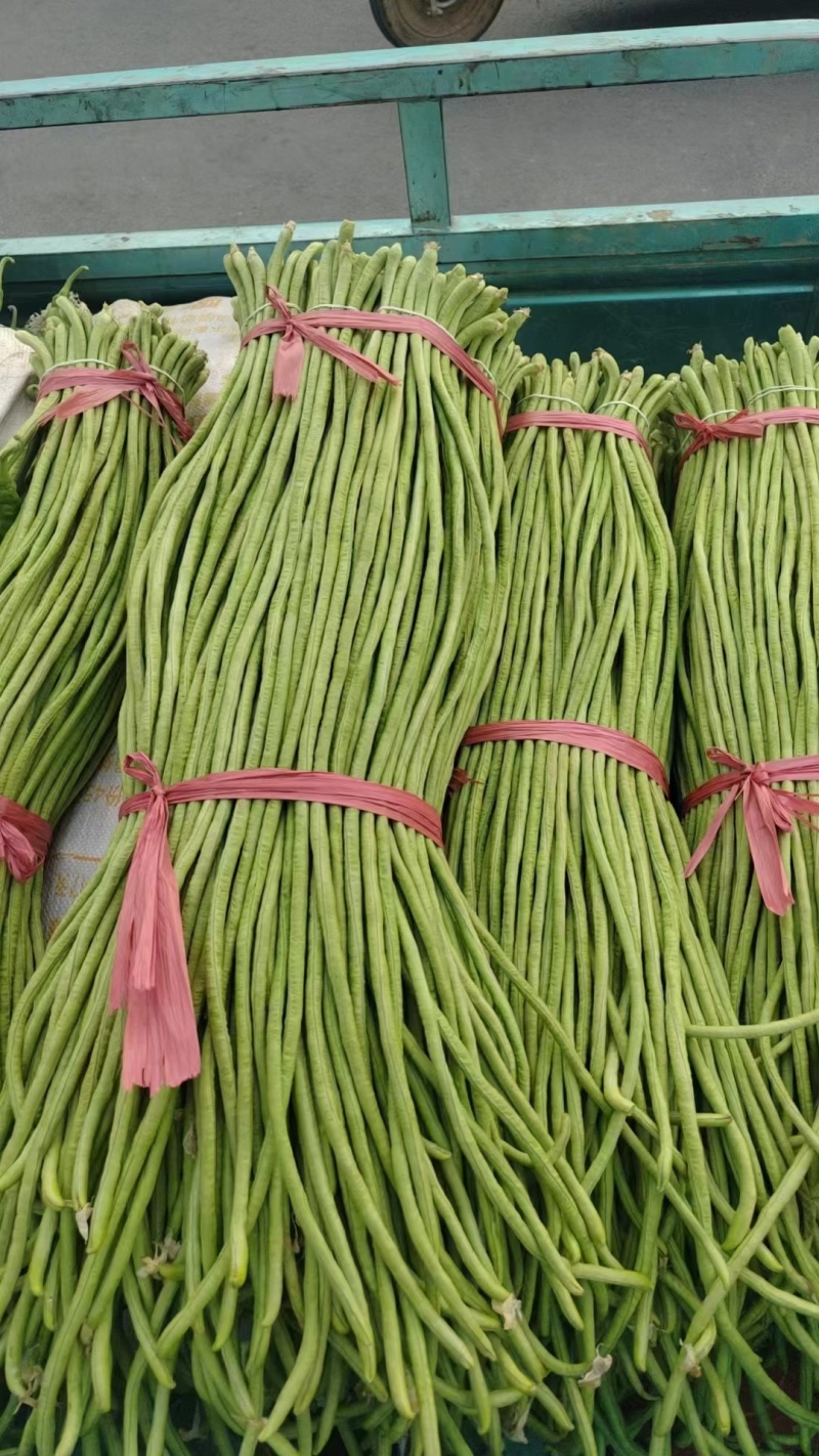 青条豆角