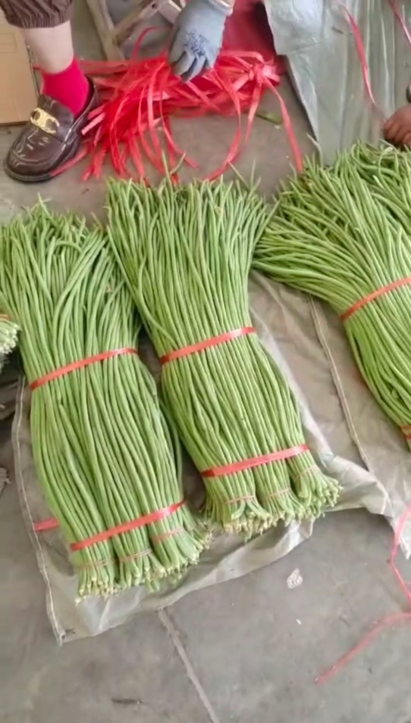 青条豆角