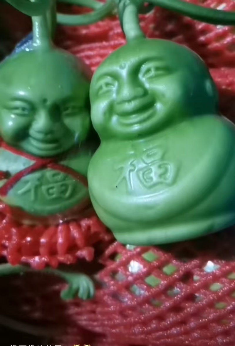 （牛）山东精品福娃人参果产地直发品质保证量大从优一手货源