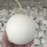 山东精品玉菇甜瓜大量上市品质保证量大从优一手货源