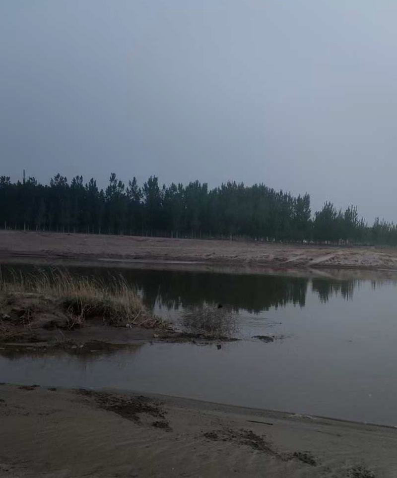 青红色套袋巨峰葡萄基地供应！欢迎各位老板实地考察！