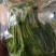 商用袋装香椿咸菜公司货源充足，250克和500克两个规格