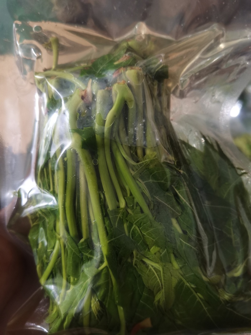 商用袋装香椿咸菜公司货源充足，250克和500克两个规格