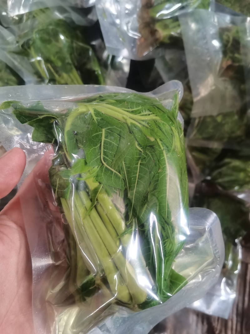 商用袋装香椿咸菜公司货源充足，250克和500克两个规格