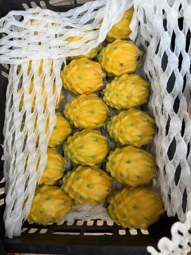 燕窝果