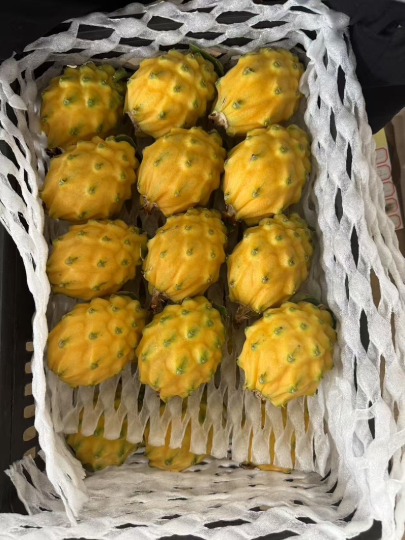 燕窝果