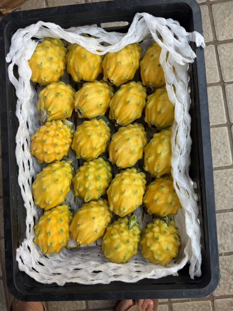 燕窝果