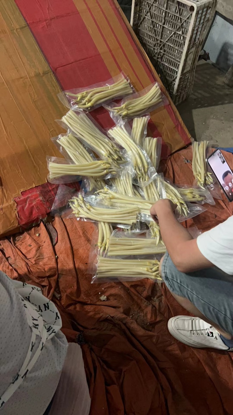精品藕带。基地种植。欢迎新老顾客购买。大量上市。