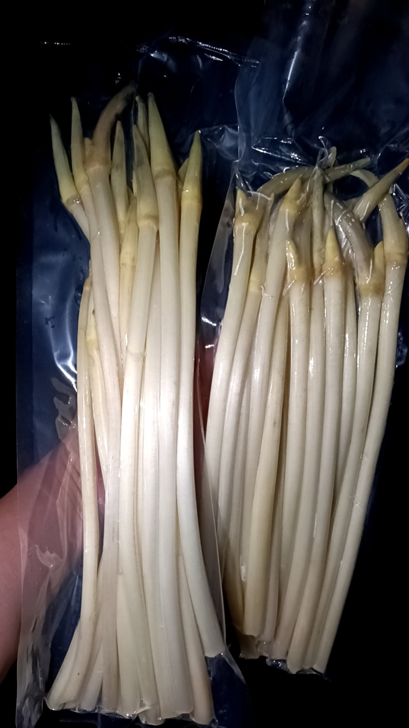 精品藕带。基地种植。欢迎新老顾客购买。大量上市。