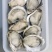 乳山生蚝场地流通精直发