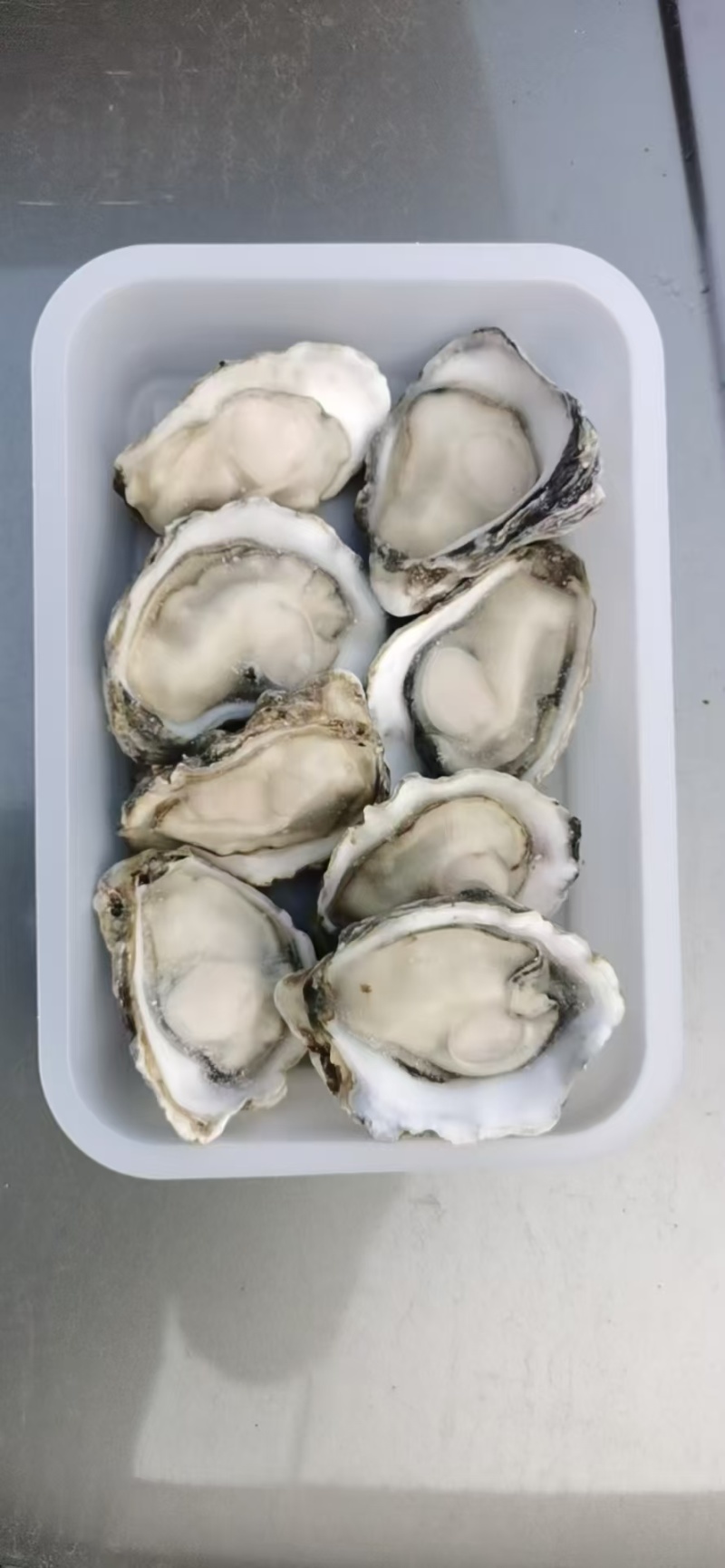 乳山生蚝场地流通精直发
