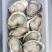 乳山生蚝场地流通精直发