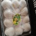 雪花梨河北雪花梨赵县雪花梨超市优选产品农超对接