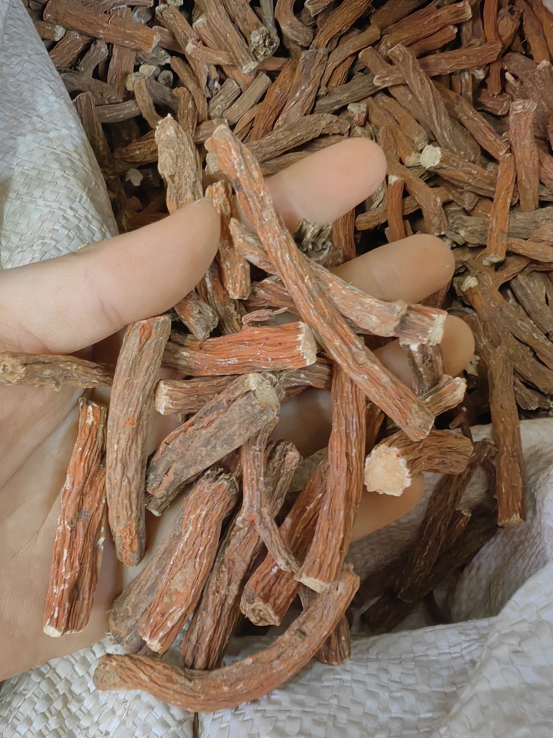 批发丹参个丹参段规格齐全可供大货量大价优货源充足