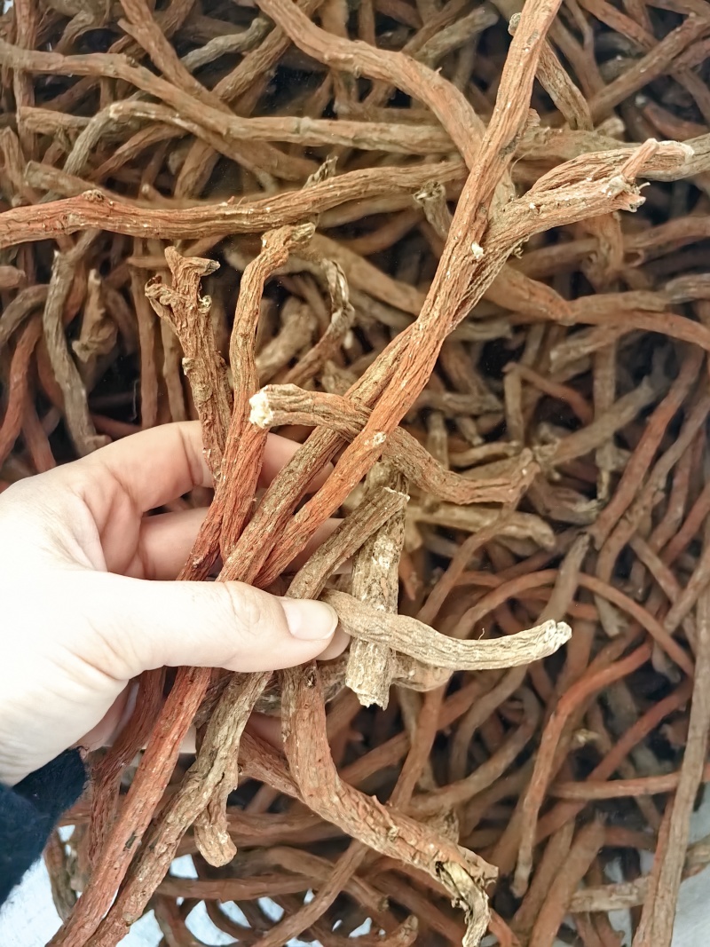批发丹参个丹参段规格齐全可供大货量大价优货源充足