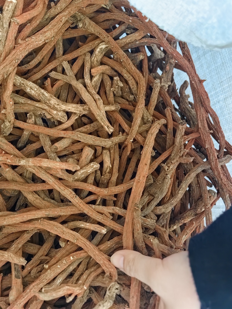 批发丹参个丹参段规格齐全可供大货量大价优货源充足
