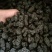 免水洗沙桑椹干，电商专用桑椹干