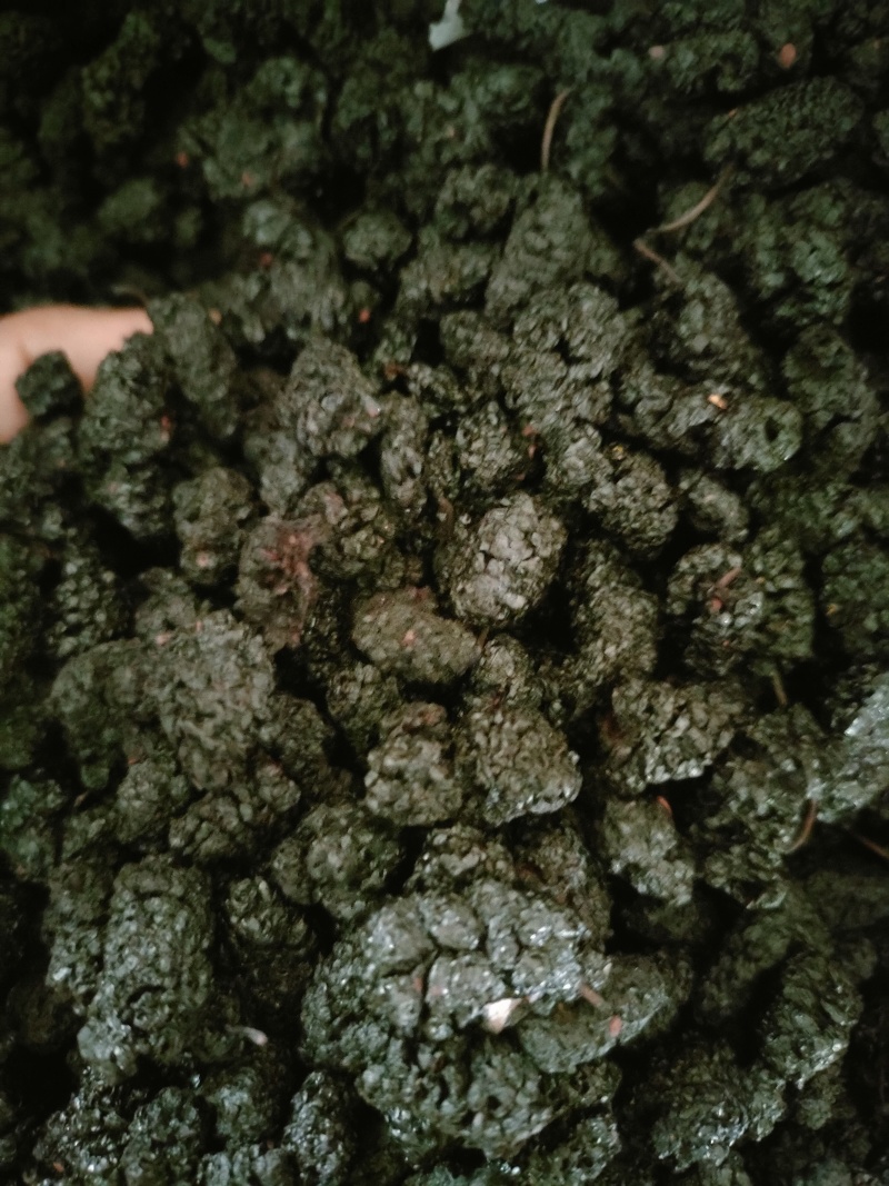 免水洗沙桑椹干，电商专用桑椹干