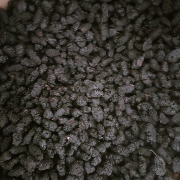 免水洗沙桑椹干，电商专用桑椹干
