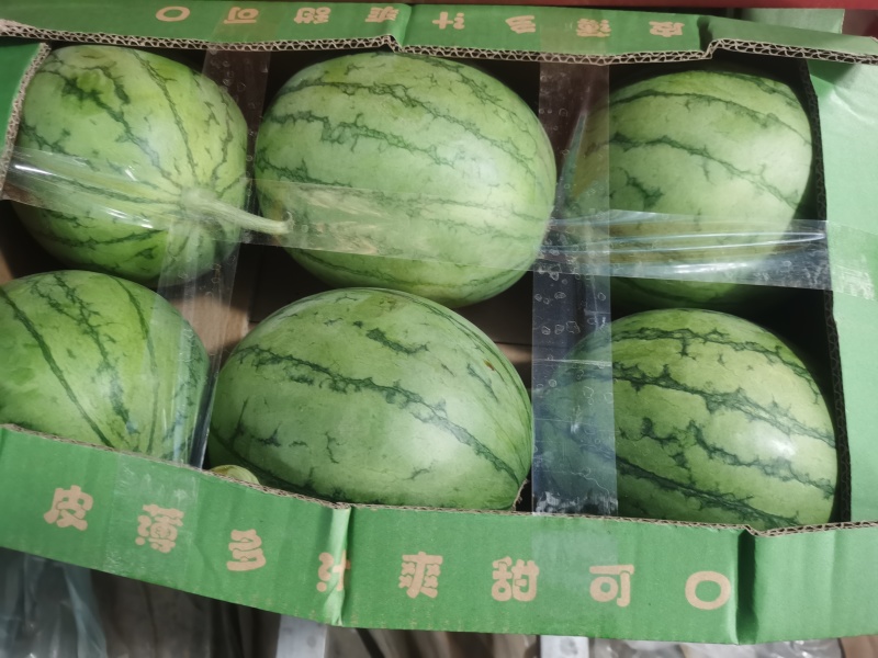 嘉秀西瓜江夏基地，一手货源全国发货欢迎联系