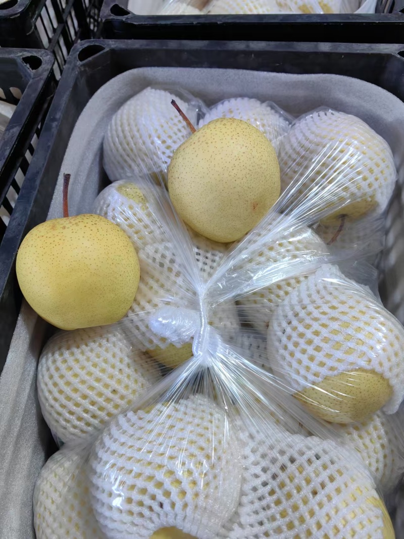 雪梨赵县雪花梨河北雪花梨口感脆甜产地直发
