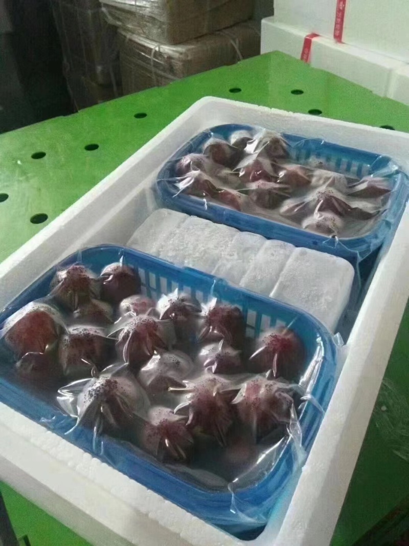 仙居杨梅，大量上市，一件代发，顺丰冷链运输，欢迎咨询购买
