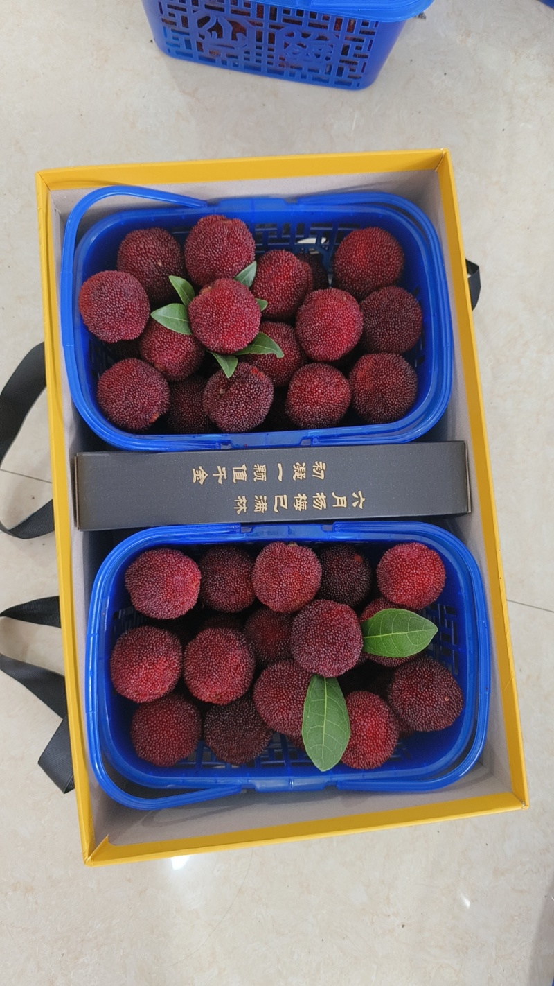 仙居杨梅，大量上市，一件代发，顺丰冷链运输，欢迎咨询购买