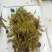 栾芽，木兰菜，木嫩芽，茉莉芽，栾树芽