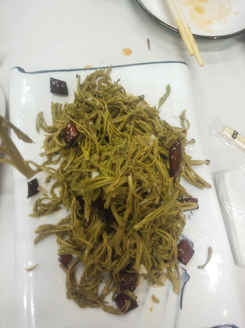 栾芽，木兰菜，木嫩芽，茉莉芽，栾树芽