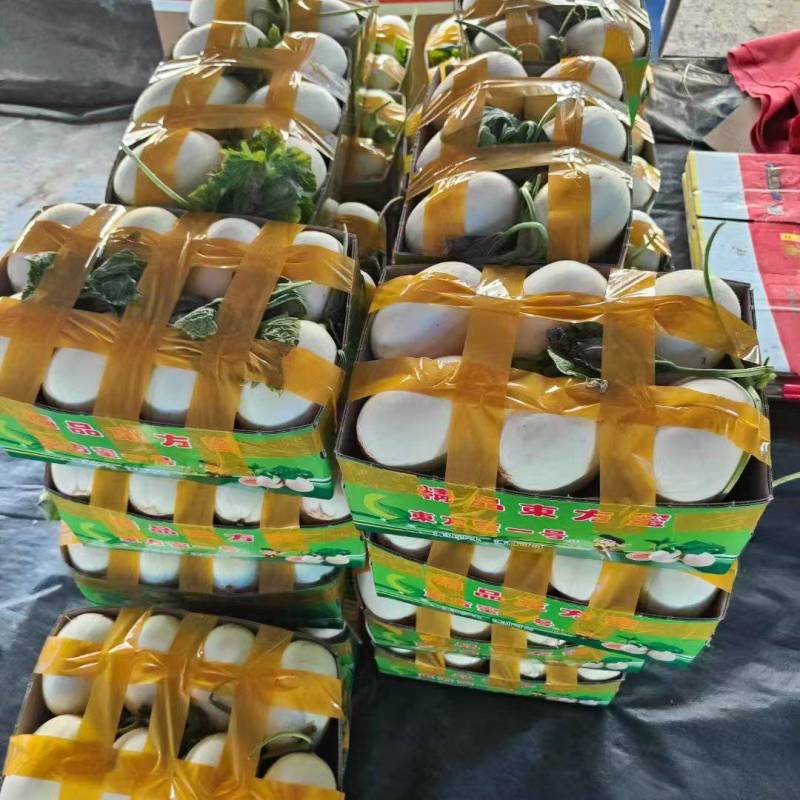 东方密