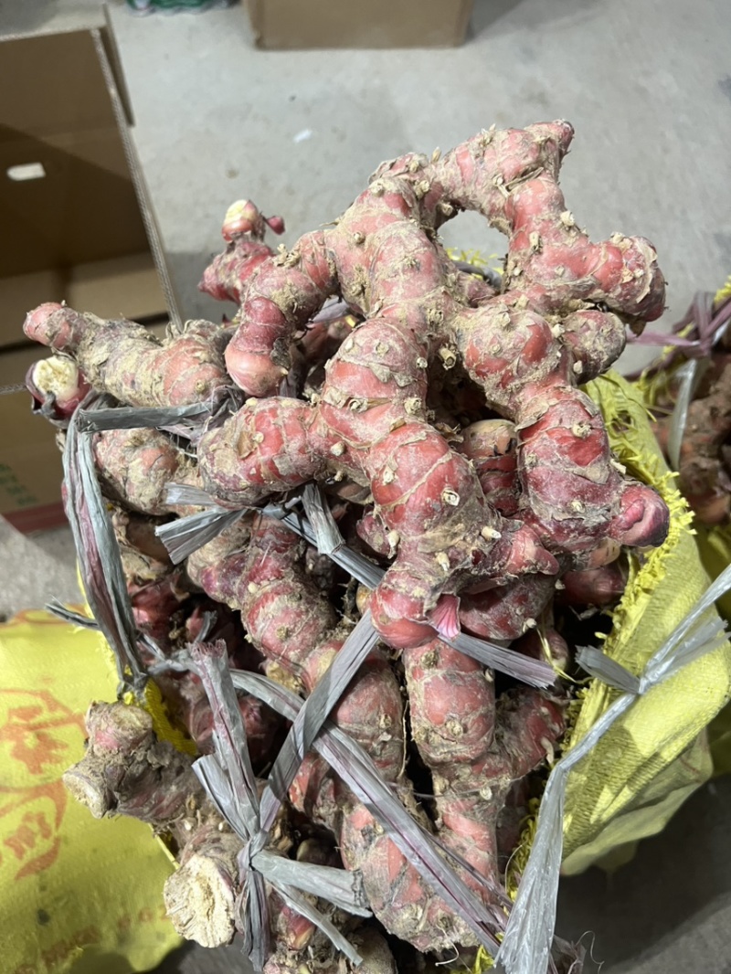 现挖南姜，量大优