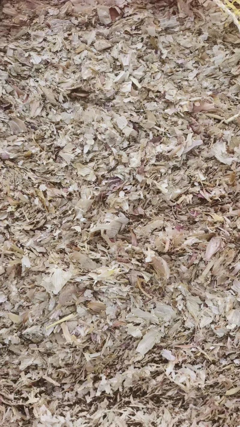 精品大蒜皮压块牛羊饲料烘干无土对接全国