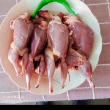 鹌鹑白条