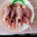 鹌鹑白条