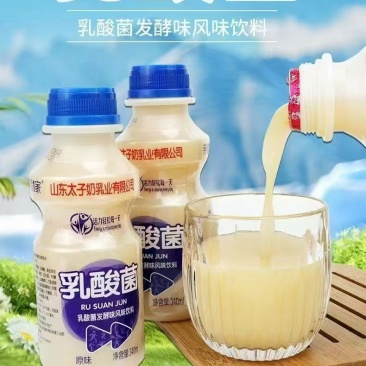 乳酸菌