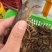 湖北潜江小龙虾，潜江虾谷直发有档口，欢迎咨询