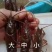 湖北潜江小龙虾，潜江虾谷直发有档口，欢迎咨询