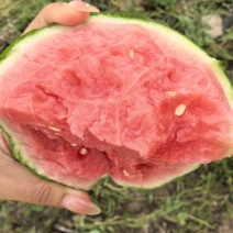 精品家秀，一手货源，保质保量，产地直销