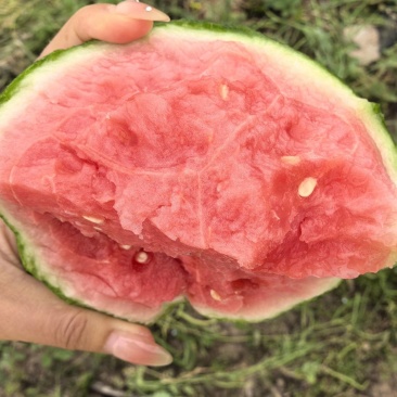 精品家秀，一手货源，保质保量，产地直销