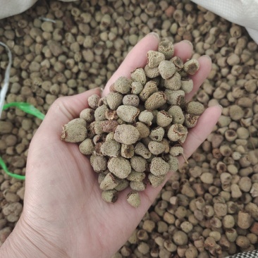 覆盆子，覆盆子个，一手货源，无硫，批发各种中药材，欢迎订