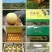 正宗一市白枇杷