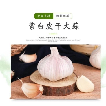白帽蒜苔