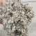 上等棉渣玉米芯棉籽壳厂家直销质优价廉货源充足