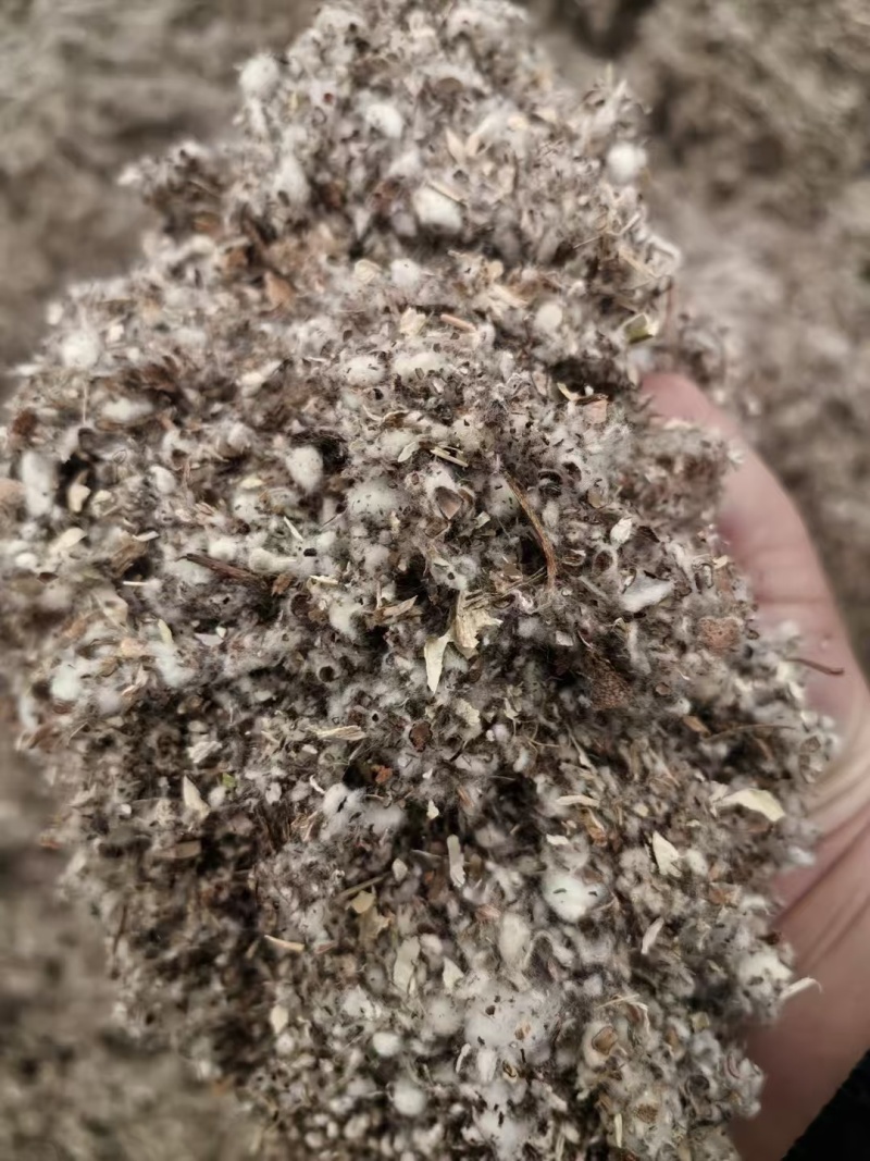 上等棉渣玉米芯棉籽壳厂家直销质优价廉货源充足