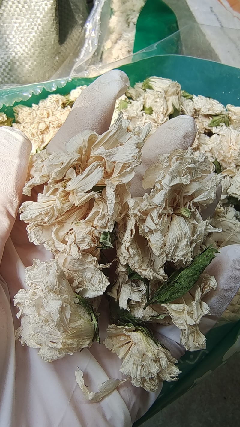 木槿花白槿花大花选货含量高2起包邮量大从优