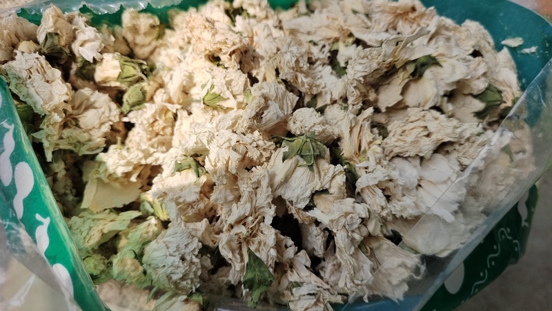 木槿花白槿花大花选货含量高2起包邮量大从优