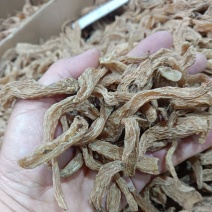 野生小天麻，原产地发货批发零售